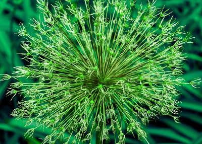 A little RGB, spikey