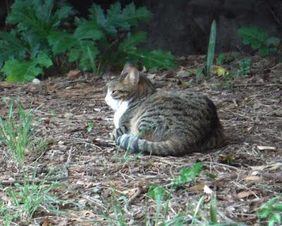 FIVE DAYS IN ROME, Part 1: Guest Post by Paige Arnold FIVE DAYS IN ROME, Part 1: Guest Post by Paige Arnold