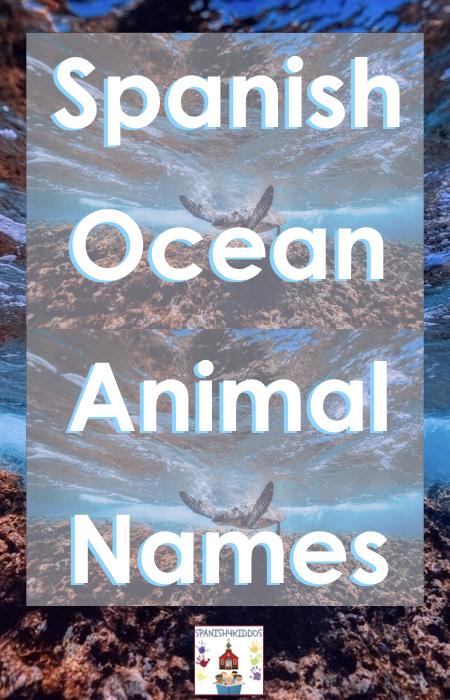 Ocean Animal Names in Spanish