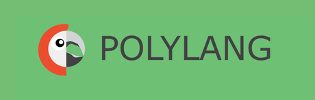 Polylang Plugin