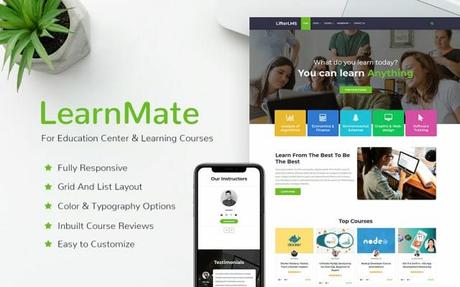 How Can I Convert Blog Site Into LMS WordPress LMS Theme