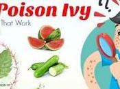 Here Best Home Remedies Poison