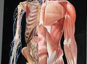 BMI: Biomarker Longevity Health