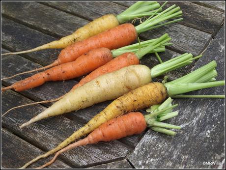 Mid-July harvests