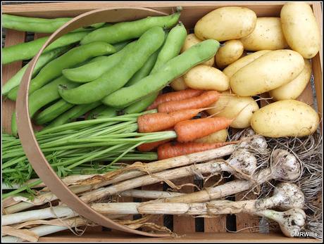 Mid-July harvests