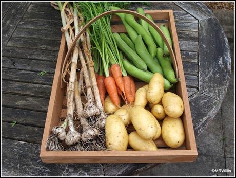 Mid-July harvests