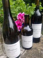 Natural Wine at the Old Westminster Winery's Summer Solstice Festival