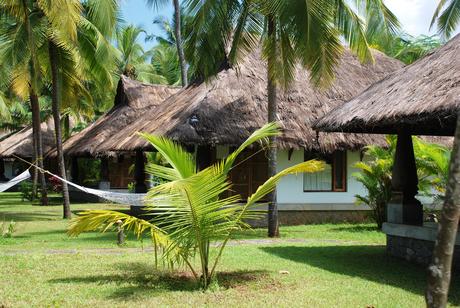 Gardens of Neeleshwar Hermitage - Kerala, South India