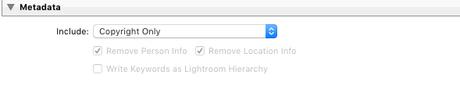 Lightroom Metadata export settings
