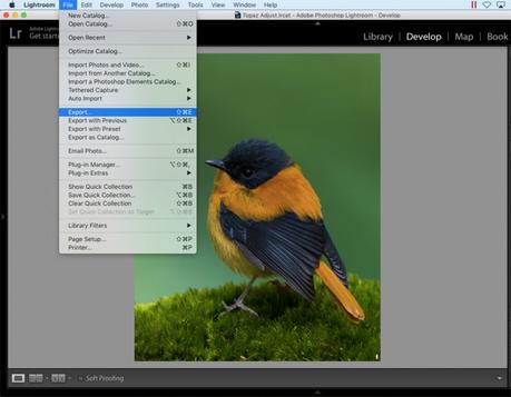 Lightroom to Instagram Export