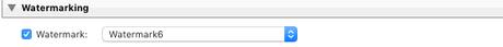 Watermarking in Lightroom