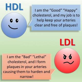 LDL & HDL: Good & Bad Cholesterol [2019]
