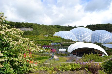 5 Family Friendly Attractions in Cornwall