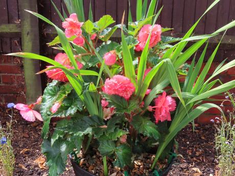 Six on Saturday 20/07/2019