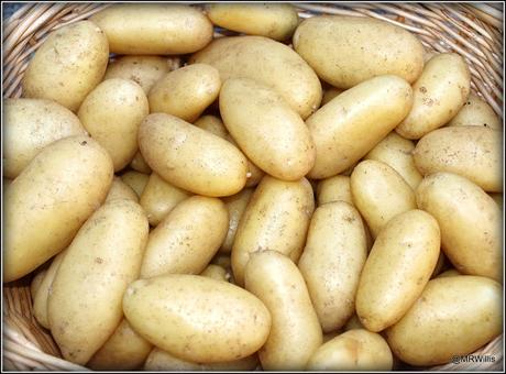 Do you have a favourite potato variety?