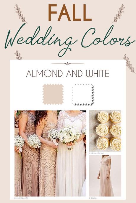 fall wedding colors palette almond white
