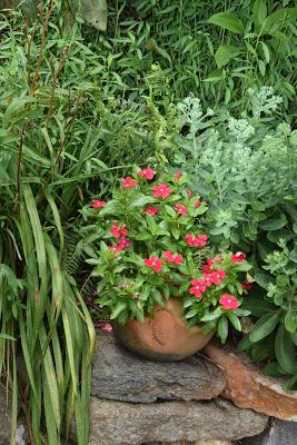 July Flora and Fauna