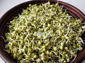 Make Sprouts ,Mung Beans
