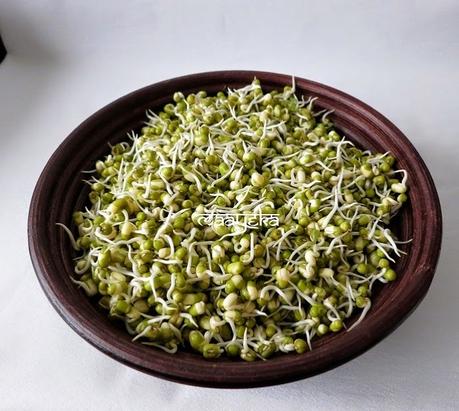 How To Make Sprouts ,Mung Beans Sprouts