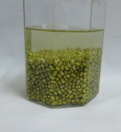 How To Make Sprouts ,Mung Beans Sprouts