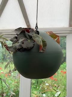 Product Review - Elho 'B.for soft air' indoor hanging planters