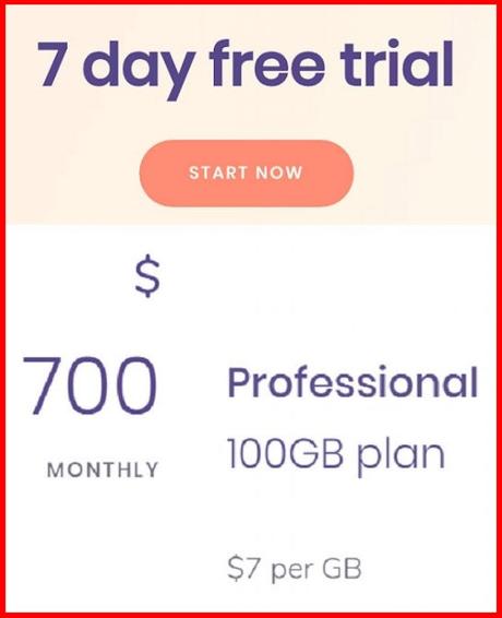 Professional plan 100 GB cost $700