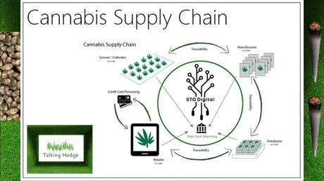 How to Create a Successful Marijuana Dispensary Application