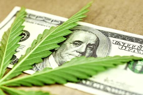 How to Create a Successful Marijuana Dispensary Application