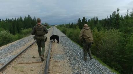 'This is not the Cook Islands': Les Stroud says B.C. murder suspects' chance of survival depends on skill