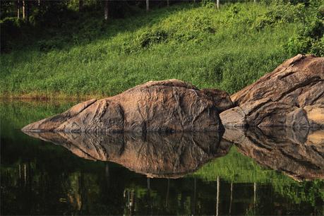 Water reflection Photography