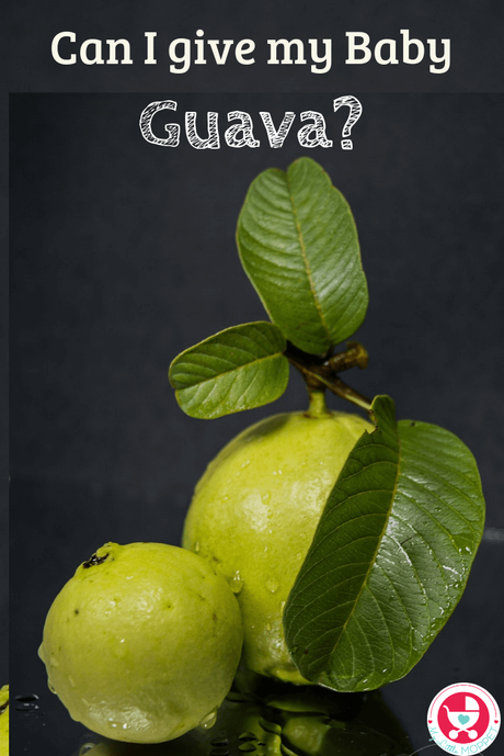 Guava is a fruit that's an integral part of our childhoods. Rich in Vitamin C & easily available, it's natural for Moms to wonder: can I give my baby guava?