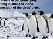 #ClimateFacts Series: #ClimateChange #Science #Penguins #Antarctica