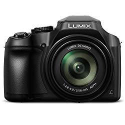 Panasonic Lumix FZ80 is one of the best digital camera under 300 dollars
