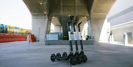 Bird scooters are now available for rent in Calgary