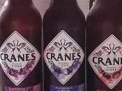 Product Review: Cranes Cranberry Cider