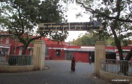 google celebrates Dr Muthulakshmi with a doodle !