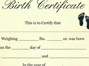 Check Status Birth Certificate Application