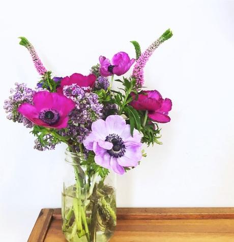 Spring Flowers Purple Anemones