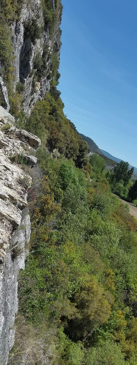 Natural Reserve Foz de Lumbier – Navarra – Spain