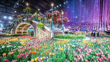 The 10 Best U.S. Spring Flower Festivals