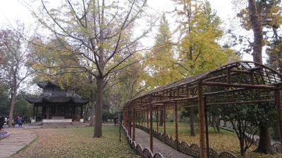 Travel Guide: Suzhou