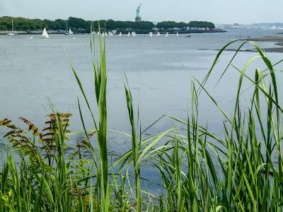 Urban pastoral, three views