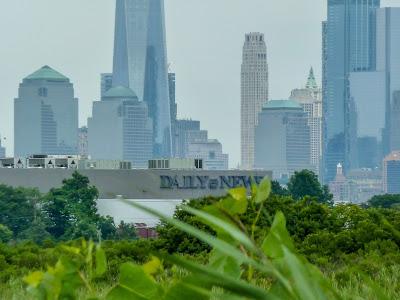Urban pastoral, three views