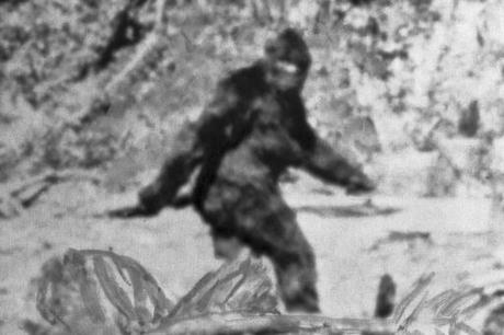 Cryptozoology and the Law