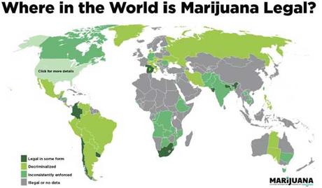 CBD Market Size is Liable to Reach a Net Worth of $20 Billion By 2024