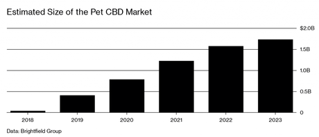 CBD Market Size is Liable to Reach a Net Worth of $20 Billion By 2024