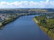 Liability Insurance Insured 'natural Person'