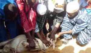 Eid-El-Kabir: When Exactly Is Sallah Festival 2019 In Nigeria? Eid-El-Kabir: When Exactly Is Sallah Festival 2019 In Nigeria?