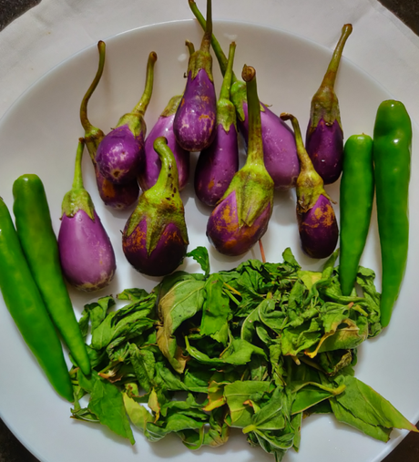 Recipe: Gongura aka sorrel leaves pachadi and gongura-brinjal chutney