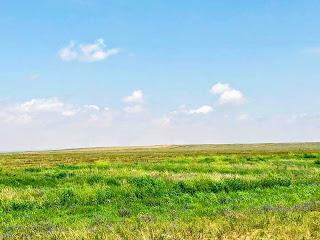 Inner Mongolia... Sand Dunes, Pagodas & Grasslands!